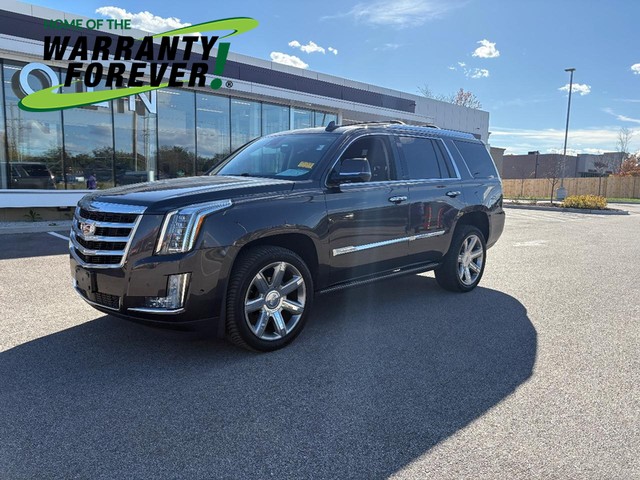 Ballwin MO 2017 Cadillac Escalade more details - cadillac escalade