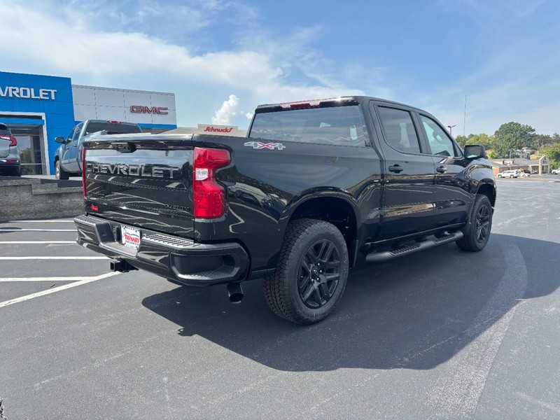 Chevrolet Silverado 1500 Vehicle Image 04