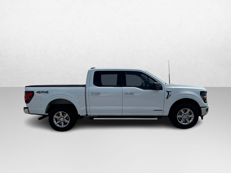 Ford F-150 Vehicle Full-screen Gallery Image 04