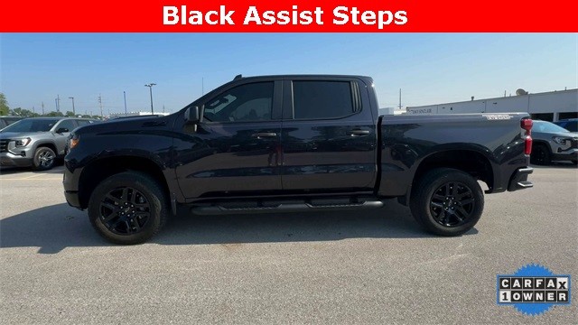 Chevrolet Silverado 1500 Vehicle Full-screen Gallery Image 06