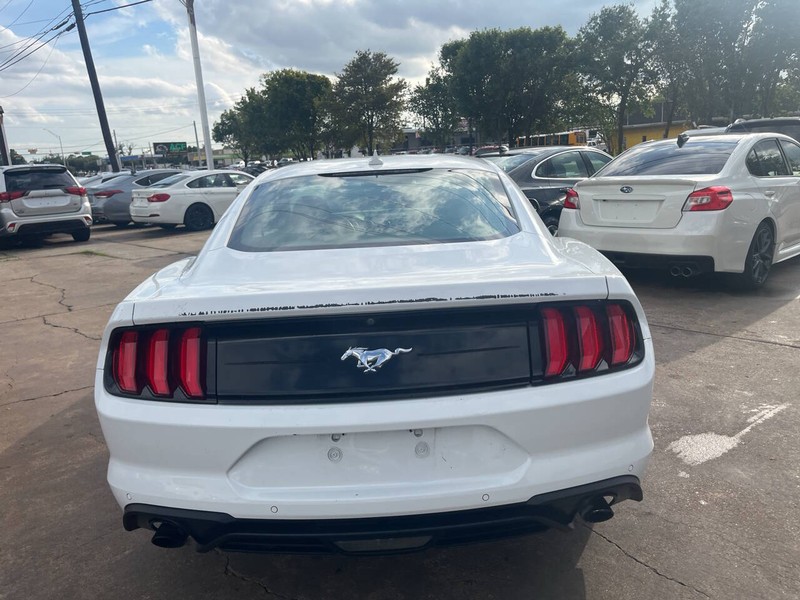 Ford Mustang Vehicle Image 05