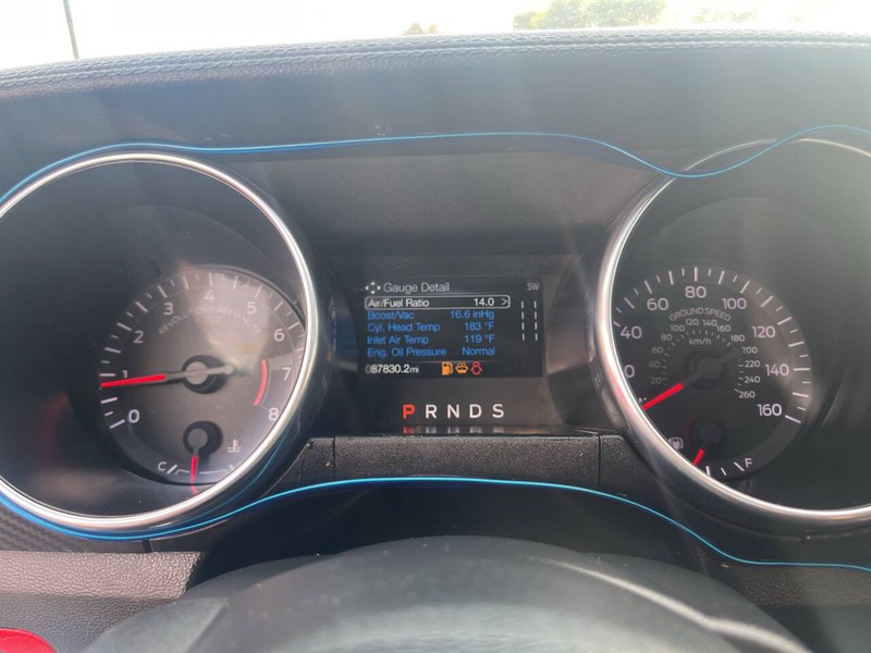 Ford Mustang Vehicle Image 13