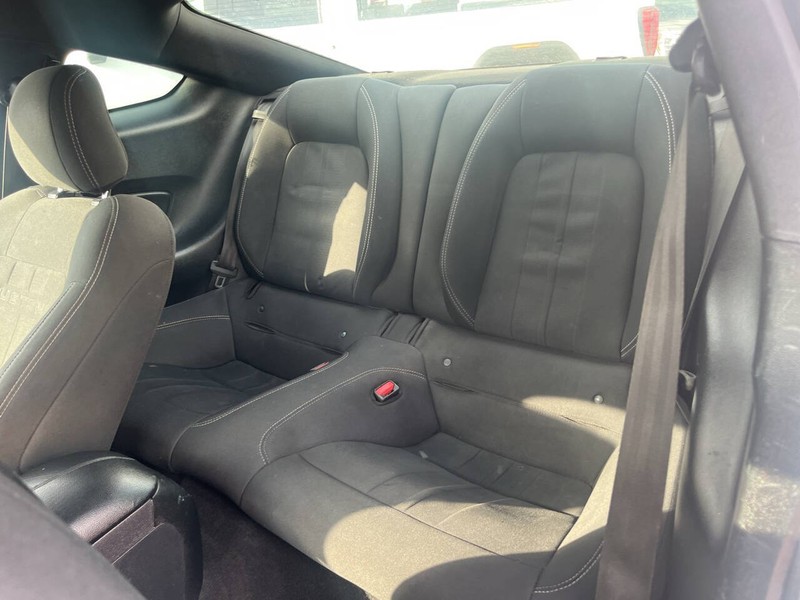 Ford Mustang Vehicle Image 14