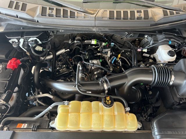 Ford F-150 Vehicle Full-screen Gallery Image 34