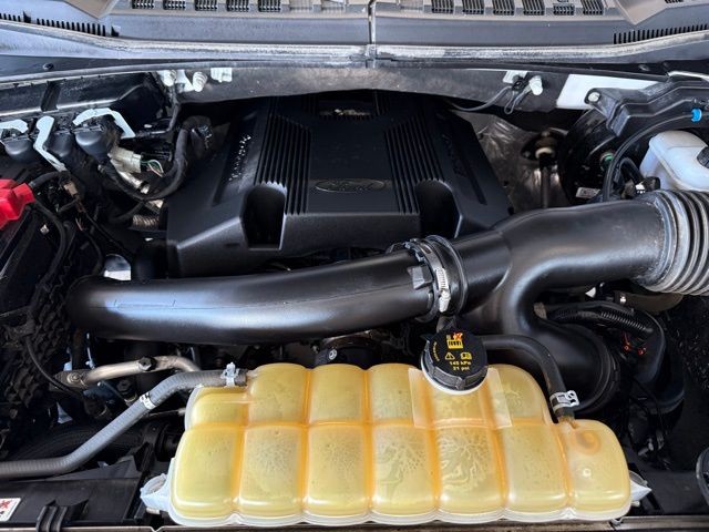 Ford F-150 Vehicle Full-screen Gallery Image 32