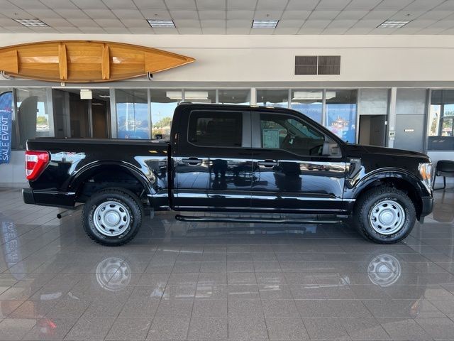 Ford F-150 Vehicle Full-screen Gallery Image 04