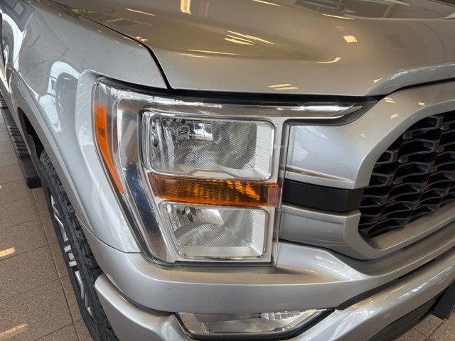 Ford F-150 Vehicle Full-screen Gallery Image 10
