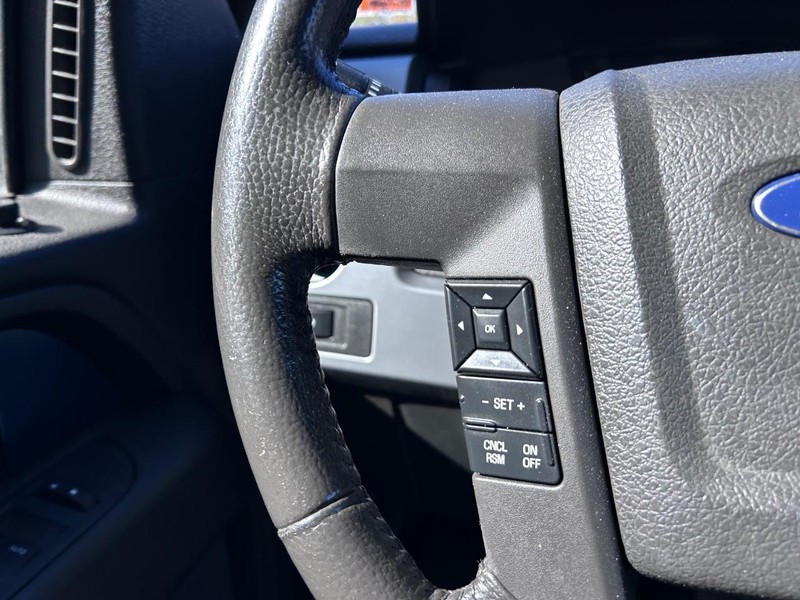 Ford F-150 Vehicle Image 11