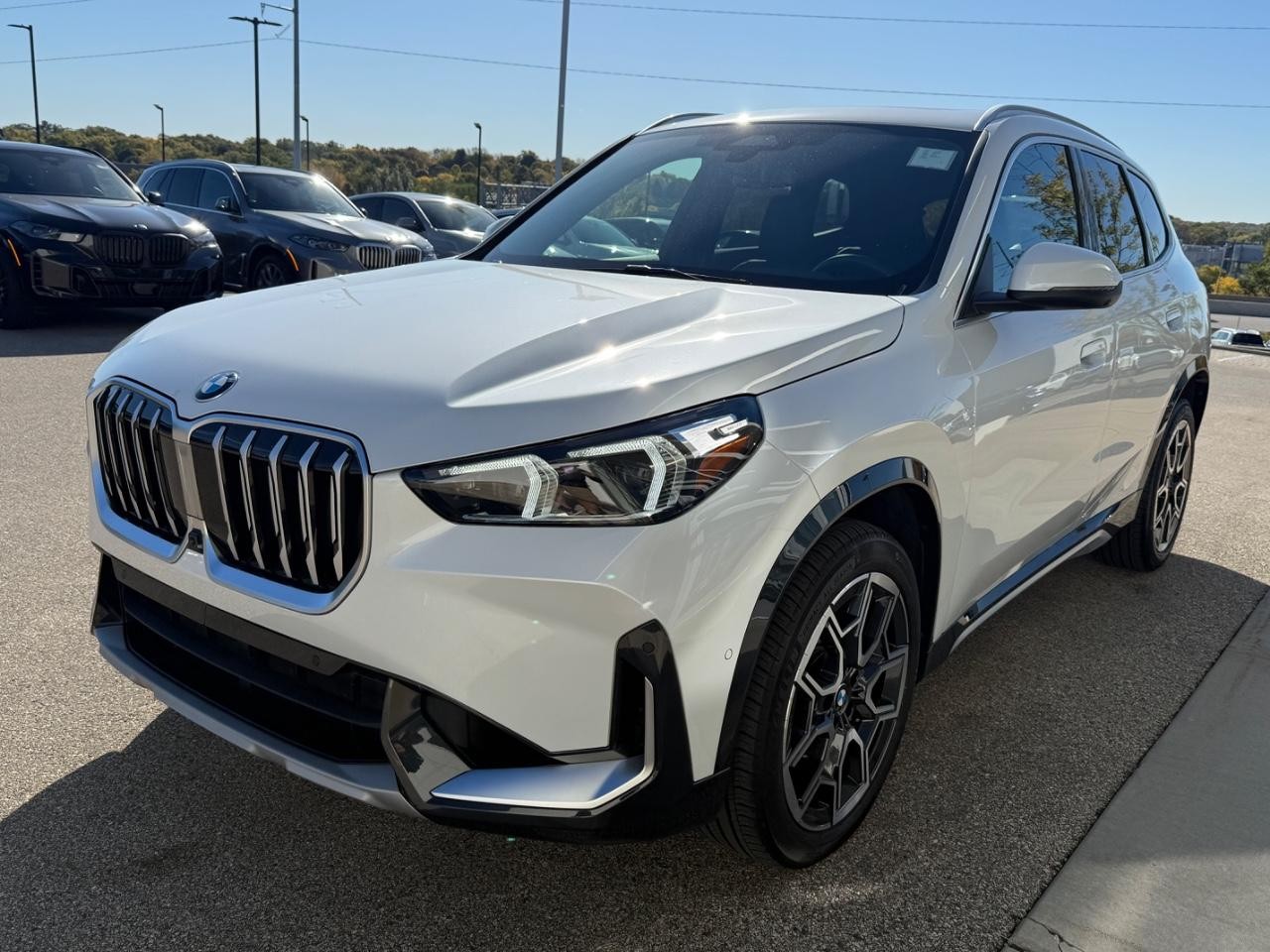 BMW X1 Vehicle Image 07