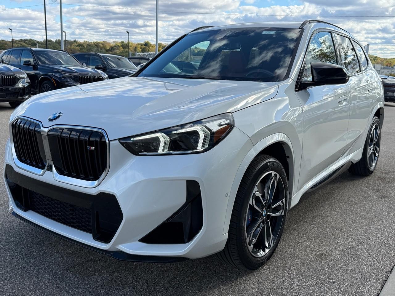 BMW X1 Vehicle Image 08