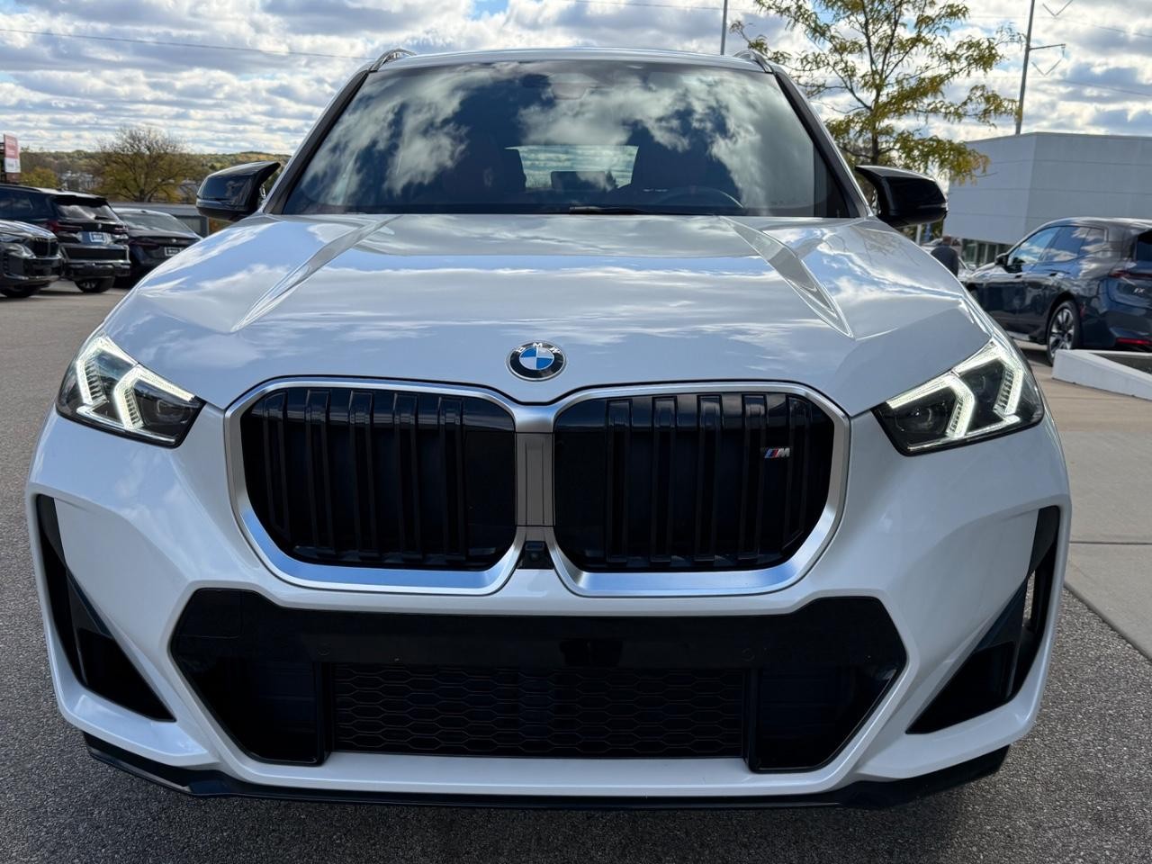 BMW X1 Vehicle Image 09