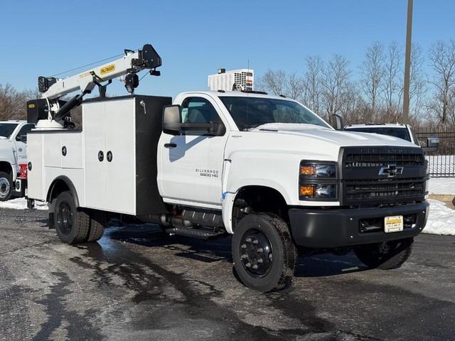 2024 Chevrolet Silverado 4500 Medium Duty Chassis Cab Work Truck's photo