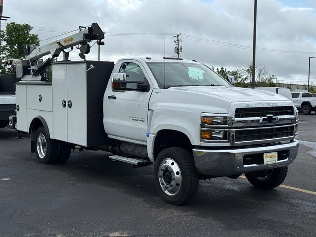 2024 Chevrolet Silverado 4500 Medium Duty Chassis Cab Work Truck's photo