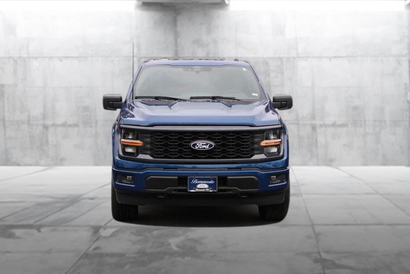 Ford F-150 Vehicle Image 04