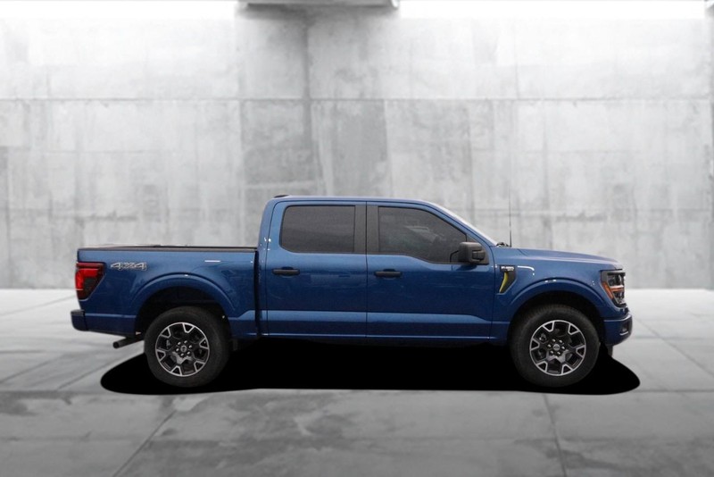 Ford F-150 Vehicle Image 05