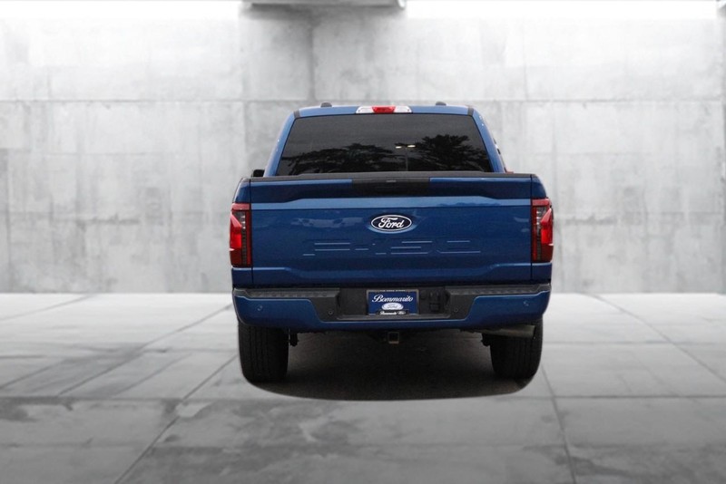 Ford F-150 Vehicle Image 06