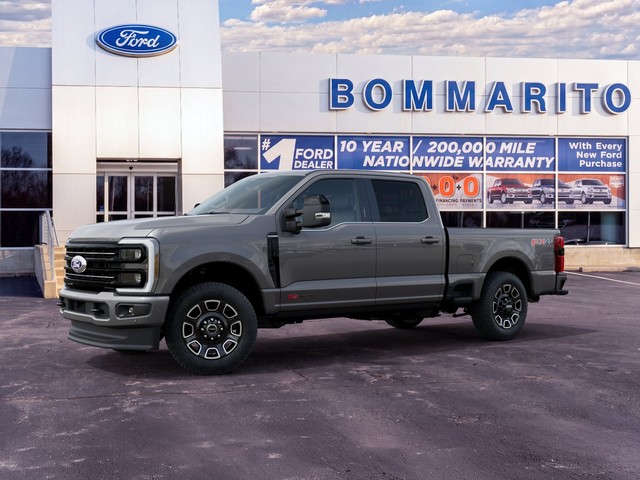 Ford Super Duty F-250 SRW Platinum - Hazelwood MO