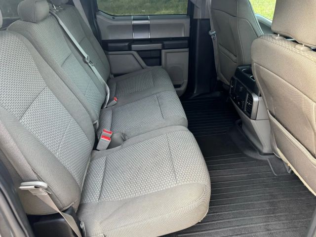 Ford F-150 Vehicle Full-screen Gallery Image 15