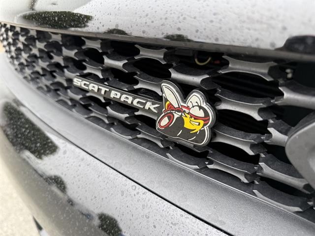 Dodge Charger Vehicle Full-screen Gallery Image 14