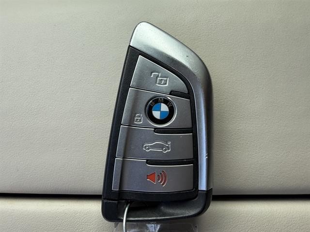 BMW X5 M50i Vehicle Full-screen Gallery Image 33