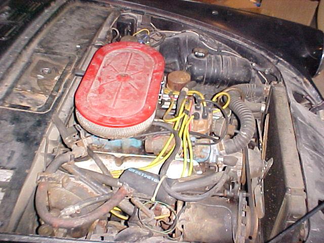 Sunbeam Tiger SunbeamTiger - Round Mountain TX