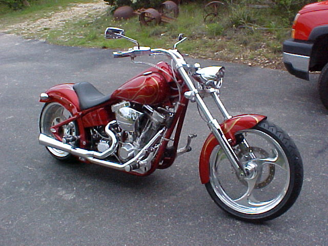 Other Big Dog Mastiff - Round Mountain TX