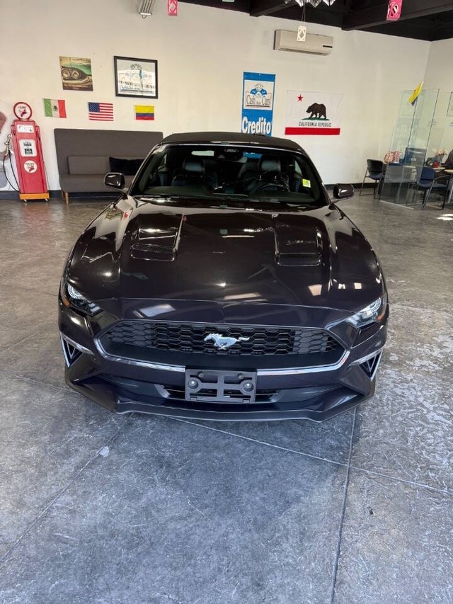 Ford Mustang Vehicle Full-screen Gallery Image 04