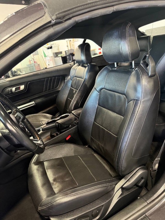Ford Mustang Vehicle Full-screen Gallery Image 29