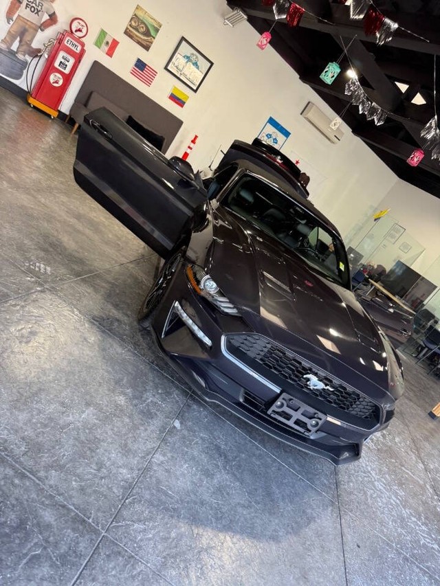 Ford Mustang Vehicle Full-screen Gallery Image 43
