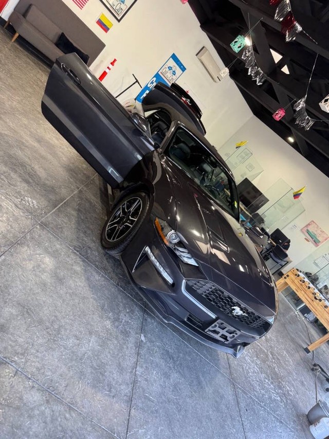 Ford Mustang Vehicle Full-screen Gallery Image 44