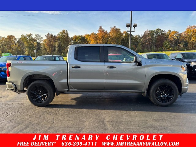 O'Fallon MO 2026 Chevrolet Silverado 1500 more details - chevrolet silverado 1500