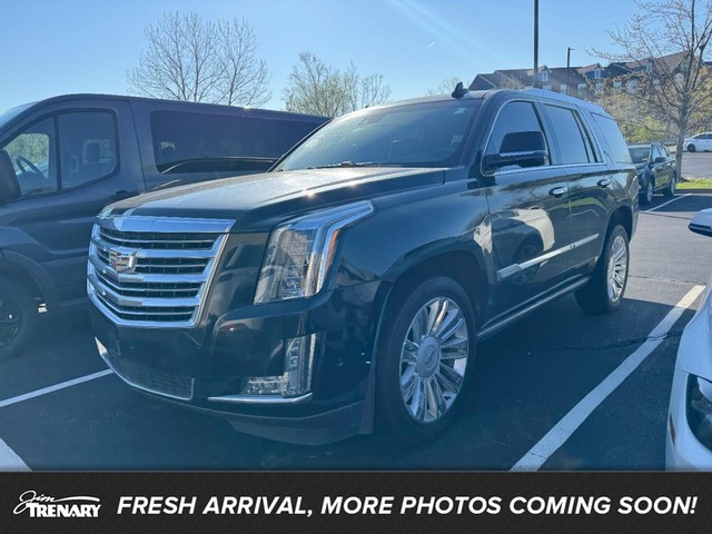 O'Fallon MO 2017 Cadillac Escalade more details - cadillac escalade