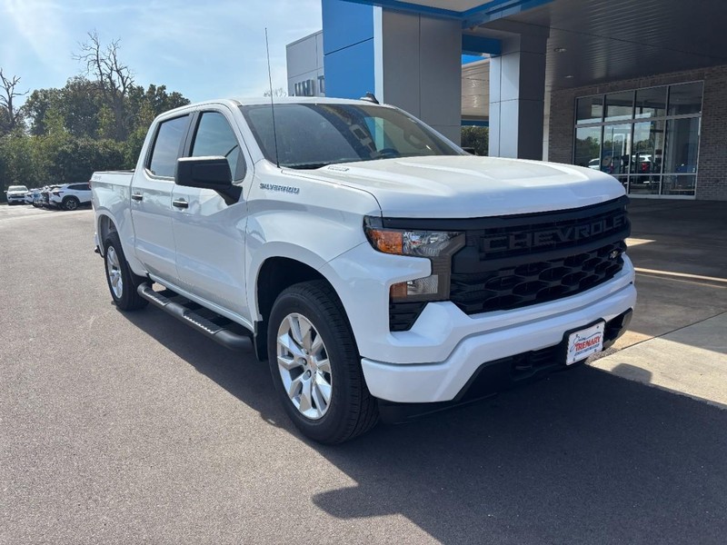 Chevrolet Silverado 1500 Vehicle Image 02