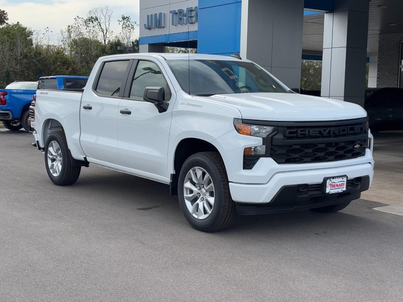 Chevrolet Silverado 1500 Vehicle Image 02