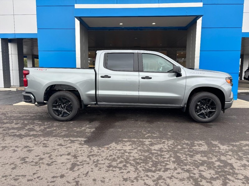 Chevrolet Silverado 1500 Vehicle Image 04
