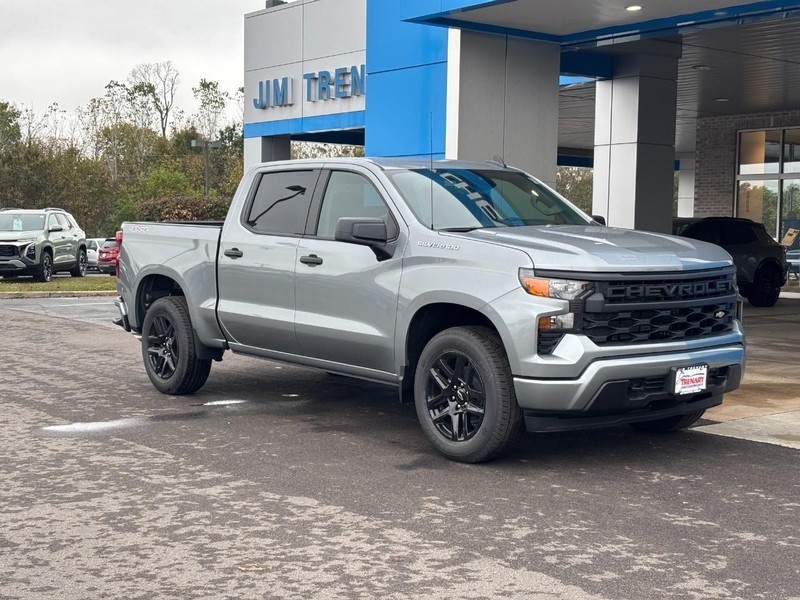Chevrolet Silverado 1500 Vehicle Image 05
