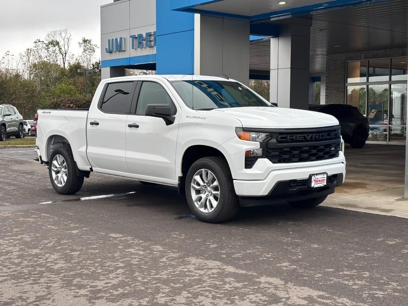 Chevrolet Silverado 1500 Vehicle Image 02