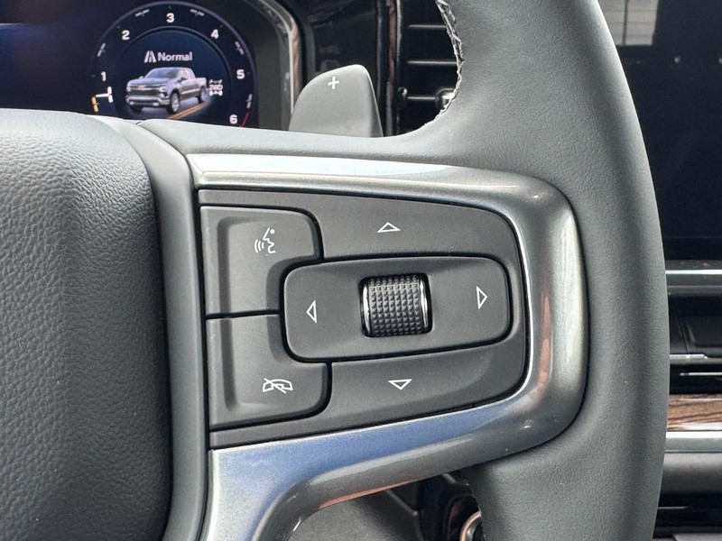 Chevrolet Silverado 1500 Vehicle Full-screen Gallery Image 14