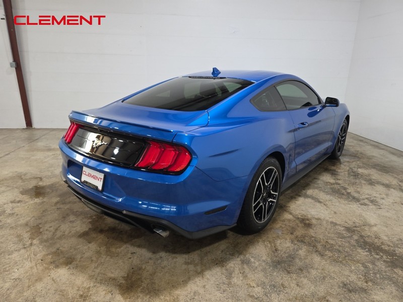 Ford Mustang Vehicle Image 06