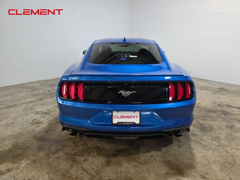 Ford Mustang Vehicle Image 07