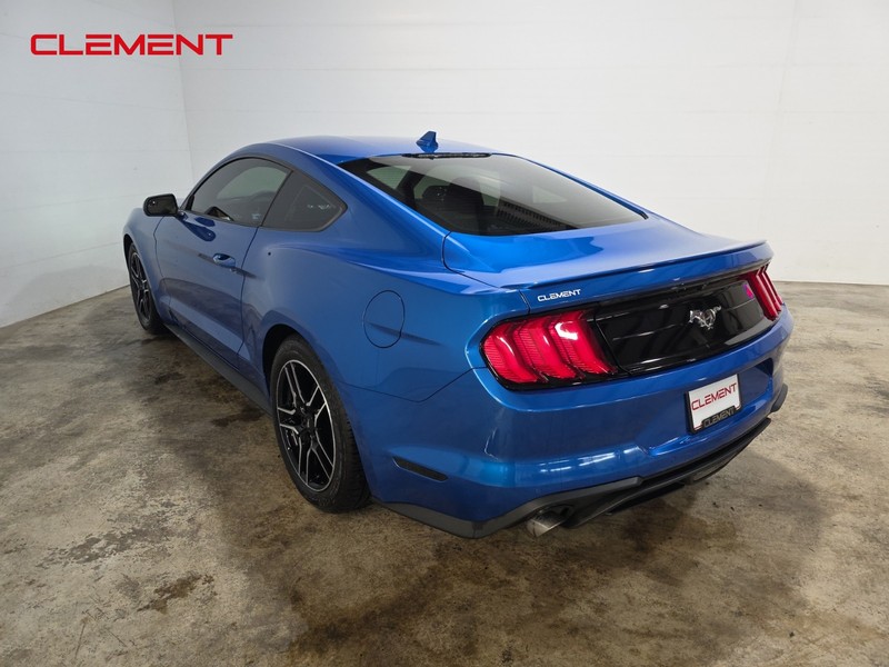 Ford Mustang Vehicle Image 08