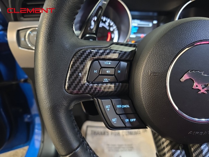 Ford Mustang Vehicle Image 13