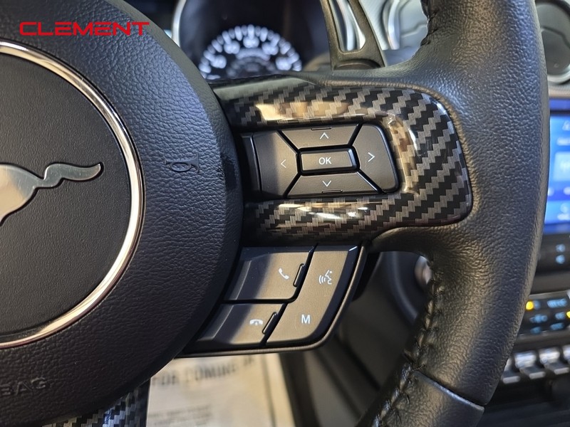 Ford Mustang Vehicle Image 14