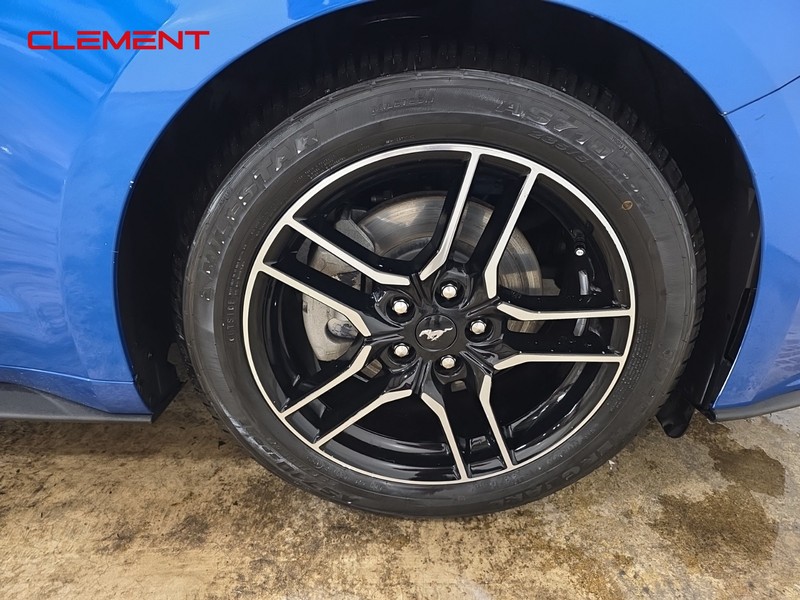 Ford Mustang Vehicle Image 28