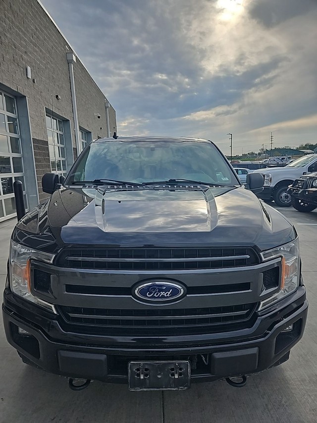 O'Fallon MO 2019 Ford F-150 more details - ford f-150