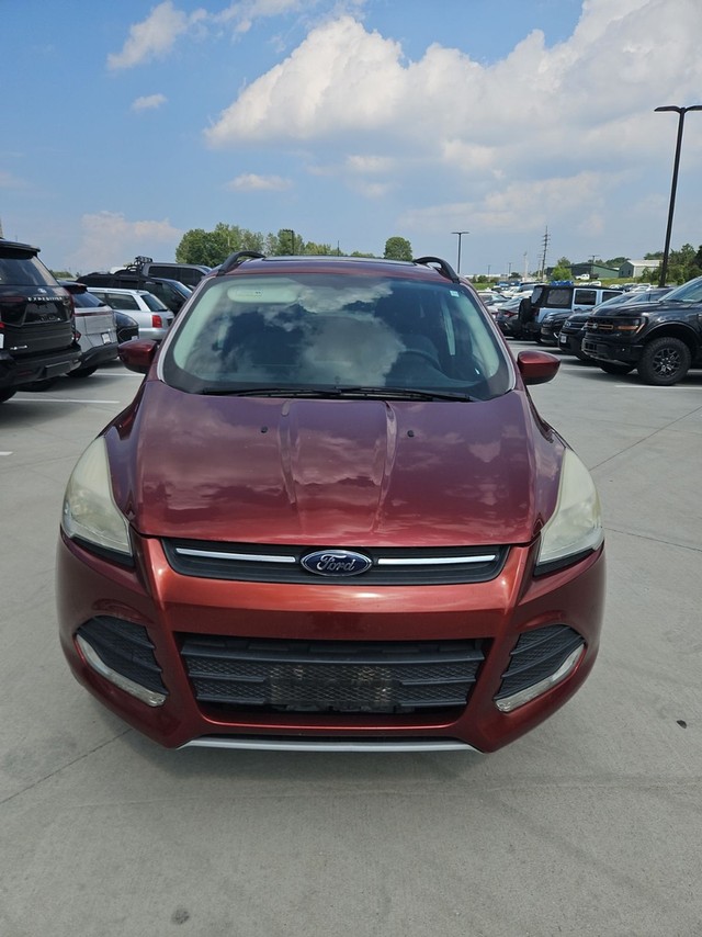 O'Fallon MO 2014 Ford Escape more details - ford escape