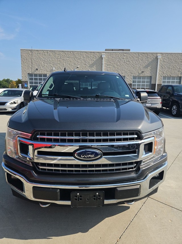 O'Fallon MO 2019 Ford F-150 more details - ford f-150