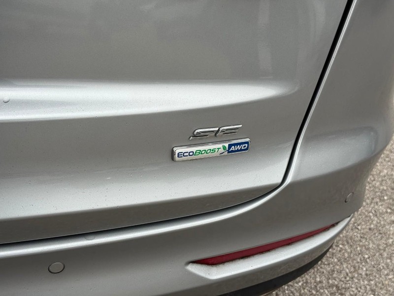 Ford Fusion Vehicle Image 07