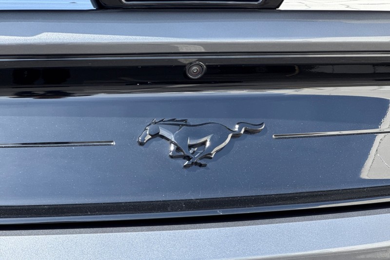 Ford Mustang Vehicle Full-screen Gallery Image 33