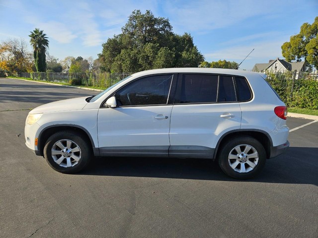 2010 Volkswagen Tiguan's photo
